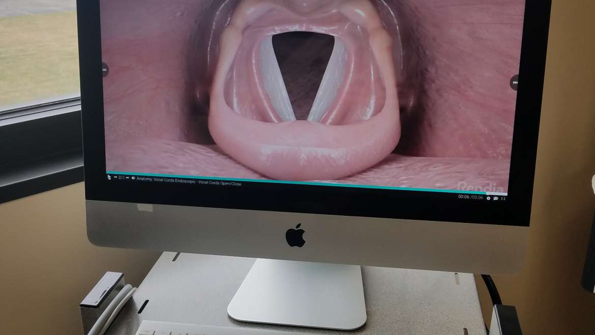 Videostroboscopy Novi ENT Specialists